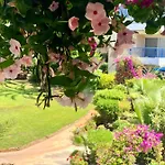 Paradise Gardens With A Large Terrace