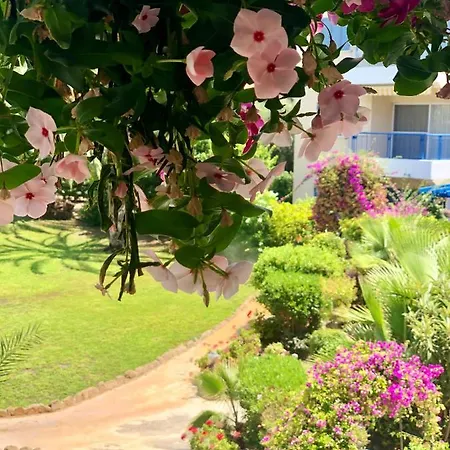 Paradise Gardens With A Large Terrace