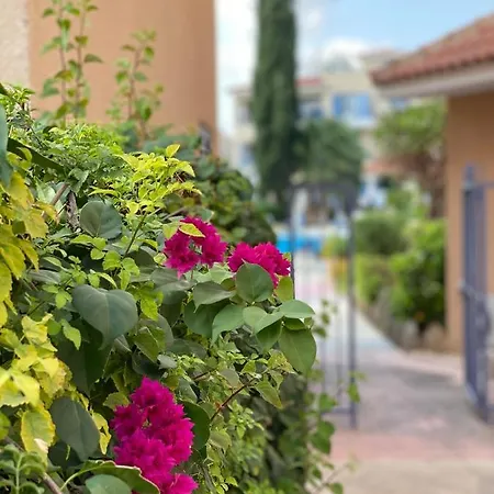 Paradise Gardens With A Large Terrace Paphos