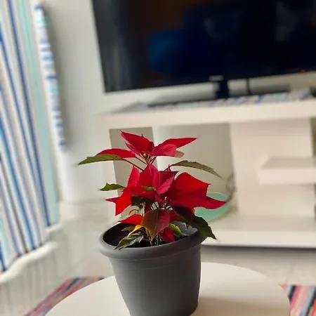 Paradise Gardens With A Large Terrace Apartment Paphos