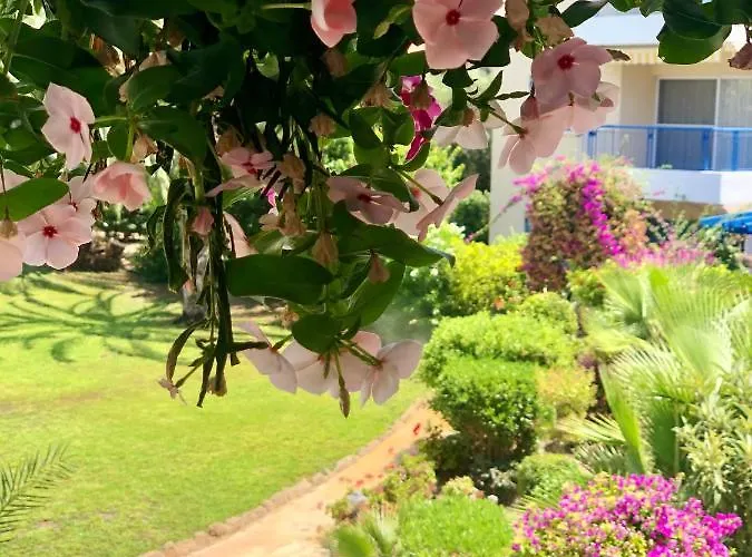 Paradise Gardens With A Large Terrace