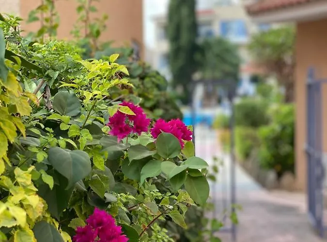 Paradise Gardens With A Large Terrace Paphos