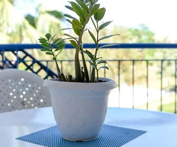 Lejlighed Paradise Gardens With A Large Terrace *