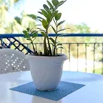 דירה Paradise Gardens With A Large Terrace *