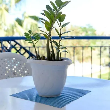 Appartement Paradise Gardens With A Large Terrace *